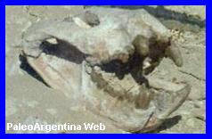 http://www.grupopaleo.com.ar/paleoargentina/BrynGwyn01.jpg