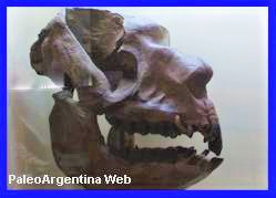 http://www.grupopaleo.com.ar/paleoargentina/Trigodon.jpg