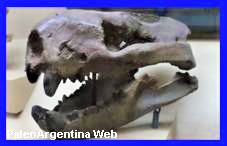 http://www.grupopaleo.com.ar/paleoargentina/barhyaena2.JPG